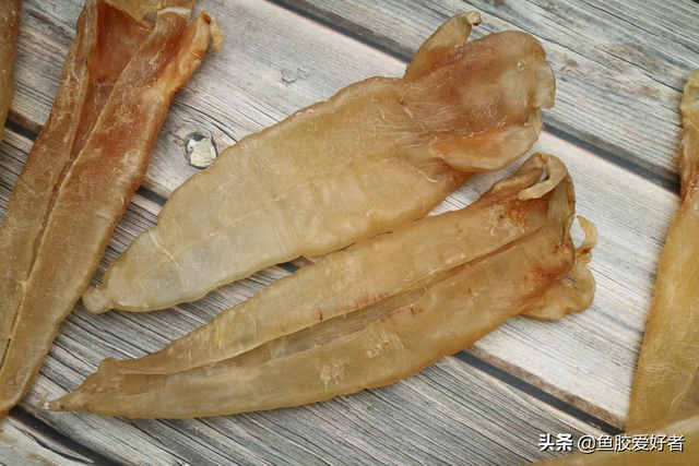 很薄的那种是什么鱼胶 2026年薄薄的是什么鱼胶