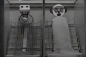 最残忍的心理学实验：恒河猴实验图片