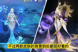 倪克斯神谕VS海洋之心 看看武则天传说皮肤和典藏皮肤有什么区别图片
