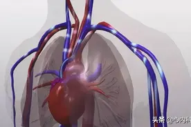 左心房增大别放任不管，长期发展可诱发心衰等并发症，怎么治疗？图片