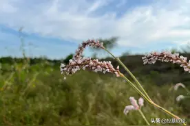 iPhone 13 mini你想知道的拍照、续航、信号都在这里图片