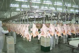 大象农牧集团-山西大象农牧集团有限公司图片