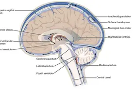 孩子的睡眠习惯不好？两招帮你矫正过来图片