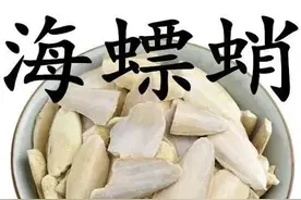 中药古今研究：海螵蛸（乌贼骨）图片