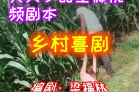 百集系列幽默搞笑类小品型微视频剧本《乡村喜剧》五/相约桃花园图片