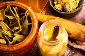 药酒不能乱泡乱喝图片