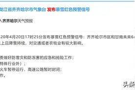 暴雪红色预警！黑龙江齐齐哈尔接近特大暴雪，网友：30多年没见过图片