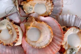 花甲、虾、生蚝等海鲜，里面黑黑的东西到底能不能吃？图片