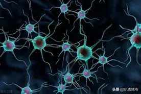 你运动时的三大供能系统图片