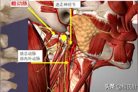 程凯养生说：头昏、眼花、耳鸣就用这个穴位图片