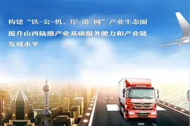 华远国际陆港集团负责人2019年度薪酬（正职56.13万元）图片