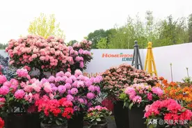 打卡延庆，揭秘北京世园会的新模样和新“花”样图片