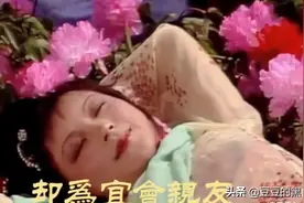 6版《红楼梦》“湘云醉卧”，看看谁是人面桃花，谁像醉鬼睡大街图片
