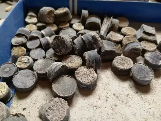 犀牛角化石如何辨别