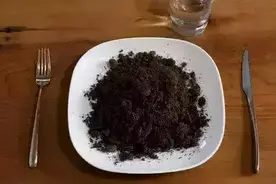 非洲人常年吃不起饭，为什么不愿耕种？你看看地上长的啥就懂了图片