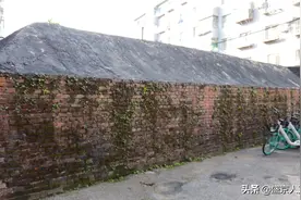 沈阳一小区发现奇怪建筑，酷似碉堡，长了很多苔藓，用途引人猜疑图片