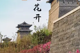 大同城墙根春花烂漫游人醉图片