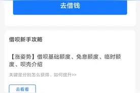 支付宝的网商贷和借呗利率是银行卡的两倍图片