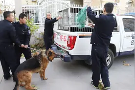石家庄别墅区养大型犬 居民遛弯带棍子称“被咬怕了”！视频封面
