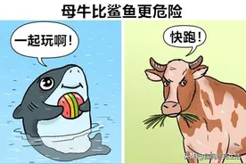 罕见的比较：可能会让你感到难以置信的9个真实存在的有趣比较图片