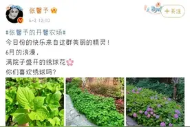 张馨予的园子又火了，蔬菜瓜果，繁花簇锦，网友：把日子过成了诗图片