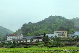 这个村真是了得，认定为2021年全国淘宝村，宜昌市认定的两村之一图片