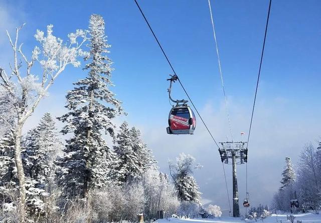 北大湖（壶）滑雪度假区健飞BASI青少儿滑雪训练营现正火热招募中！