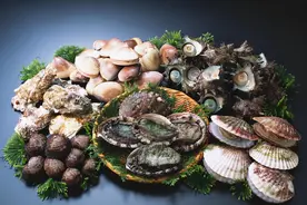 开春后，这5种小海鲜不要错过，价钱便宜还鲜美，海边人都知道图片