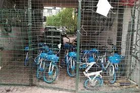 ​乱停乱放为何屡禁不止？投放数量谁来审批…… 六问哈尔滨“小蓝车”图片