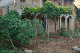 莆田农村因盖房引发的血案反思：盖房需邻居同意，这规定合理吗？图片