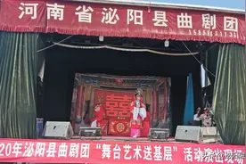 8月9日，泌阳县曲剧团2020年"送文化下基层"首场文艺汇演，走进高店镇瓦房村图片