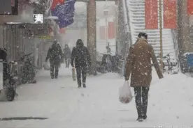 暴雪下的通辽：积雪最深68厘米，农村猪牛被冻死，城市有医院大厅被压塌，更严峻的考验还在后面图片