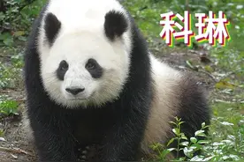 感谢你曾经来过，温暖了一段时光图片