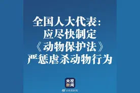 全国人大代表：应尽快制定动物保护法严惩虐杀行为图片