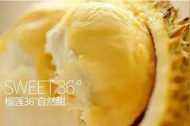 是你不能错过的卡贝儿爷爷千层图片
