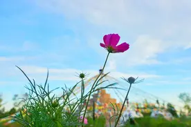 真心相爱了，不管是夫妻还是情人，都会这样做图片