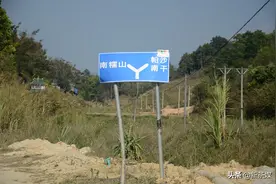 「刀哥说茶」细说普洱山头茶之帕沙五寨图片