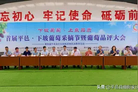 平邑县地方镇首届平邑·下坡葡萄采摘节暨葡萄品评大会成功开幕图片