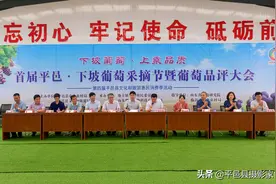 平邑县地方镇首届平邑·下坡葡萄采摘节暨葡萄品评大会成功开幕图片