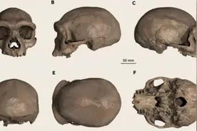 脑容量破千！哈尔滨发现14.6万年前新人种，他们是“龙人”图片
