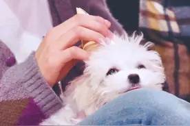 NCT“顶流女明星”，李马克是她亲哥哥，出道一个月就公开男友图片