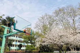 高考延期，高三学生如何进行有效复习？老师来支招！图片