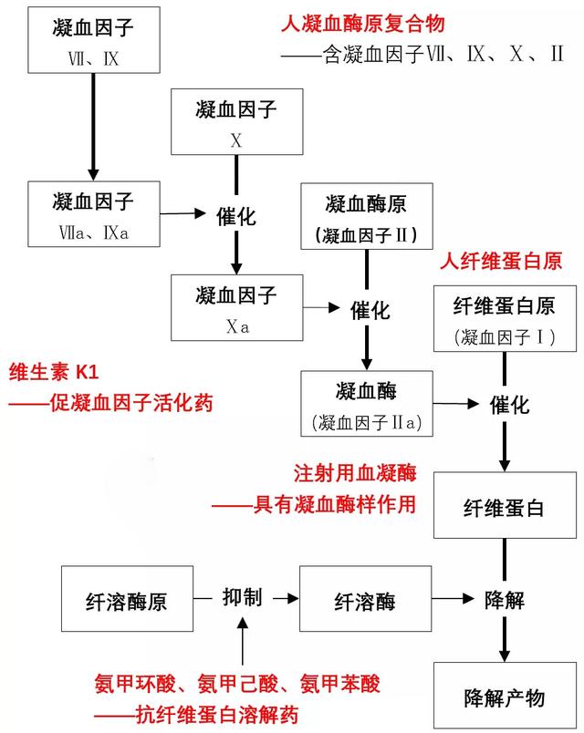 常用止血药，傻傻分不清？详解图表来了