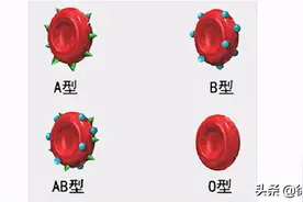 血型真的决定寿命？A型、B型、AB型、O型，哪种血型更长寿？图片