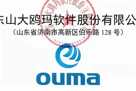 今日有1只新股申购，11月9日新股申购指南图片