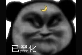 表情包：说的挺好的，下次别说了图片