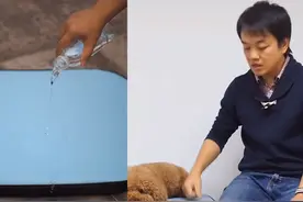 狗狗顽劣又邋遢？训犬师推荐这款耐磨防水，双面可用的垫子图片