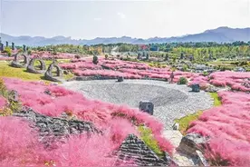 【打卡巴渝美景】走进酉阳叠石花谷，就是走进童话图片