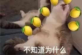 就在这里！扬州诞生了一个千万富翁图片