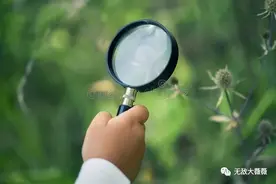 忙碌上班族妈妈如何做到三个月就让三岁半娃流畅英语交流图片